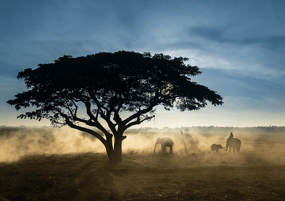 The Most Common Problems Students in Nigeria Face When Learning English | ITTT | TEFL Blog