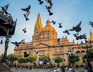 Teaching english Guadalajara