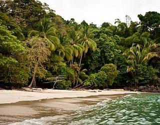 English language Manuel Antonio