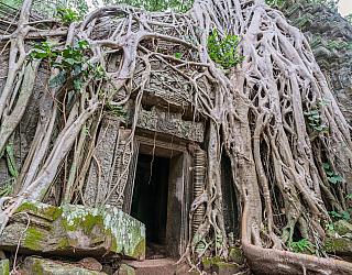 English language Phnom Penh